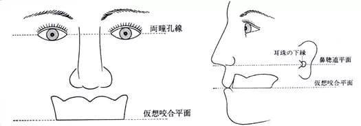 willis法