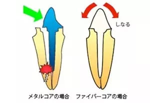審美性について